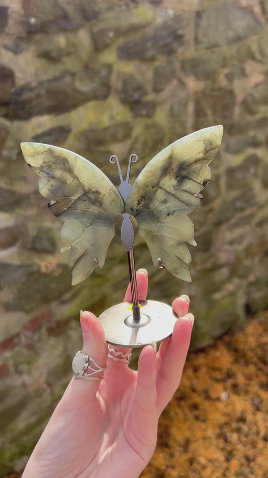 Labradorite butterfly wings with stand